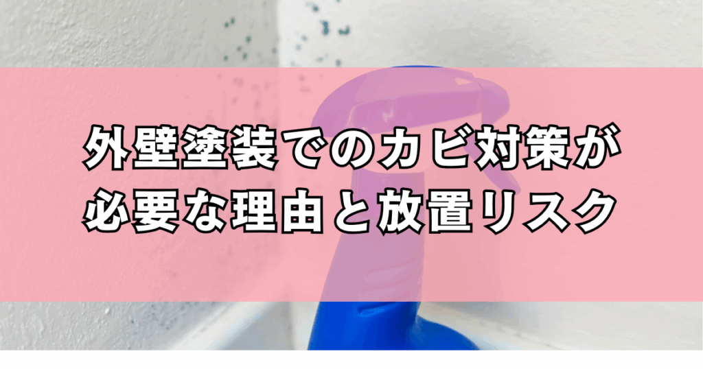 外壁塗装でのカビ対策が必要な理由と放置リスク