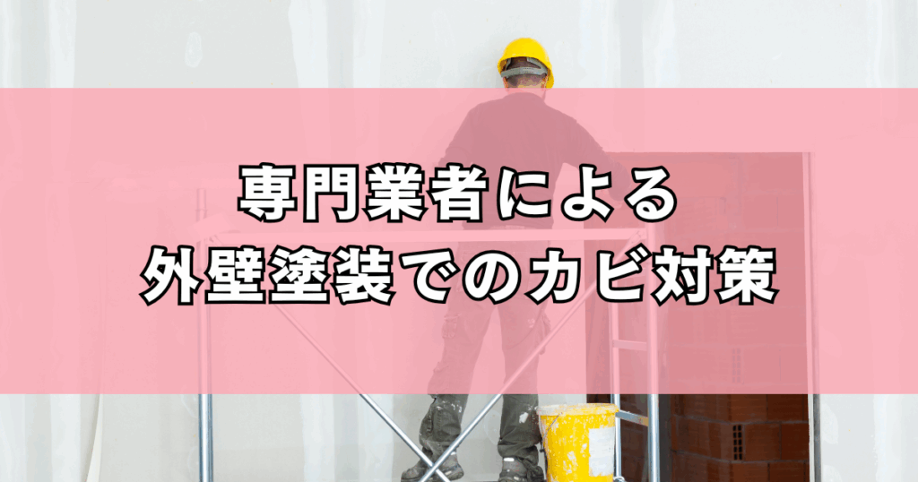 専門業者による外壁塗装でのカビ対策