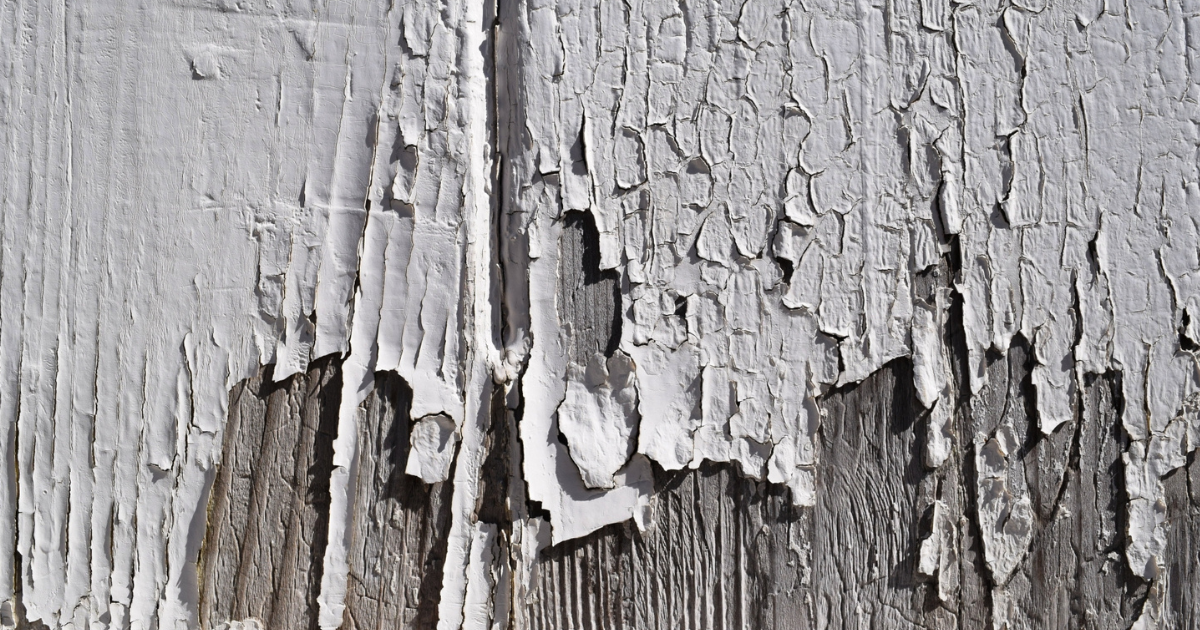 泉南市で起きやすい外壁塗装の不具合：塩害・湿気による症状と再発防止策